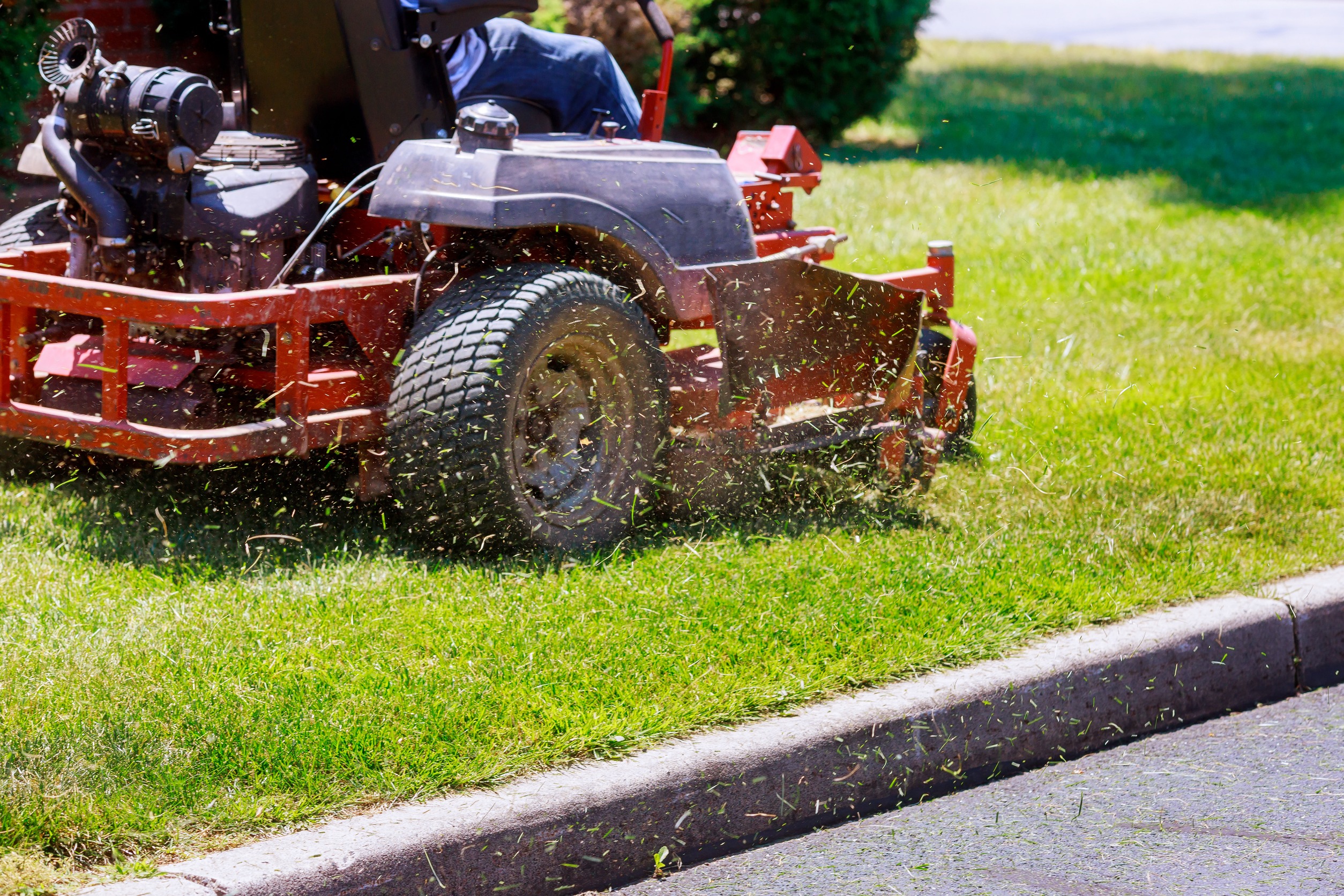 Town n Country Florida Landscapers Near Me